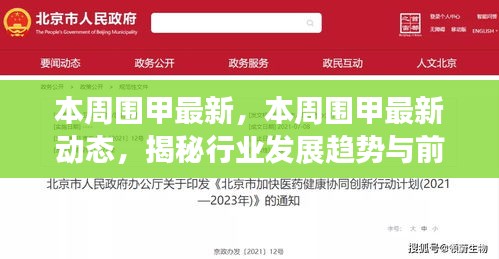 揭秘最新周边甲动态，行业趋势与前沿技术概览