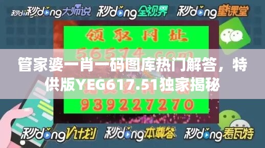 管家婆一肖一码图库热门解答，特供版YEG617.51独家揭秘