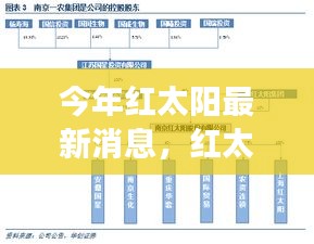 今年红太阳最新动态深度解析，特性、体验、竞争分析与用户洞察，全方位评测报告！