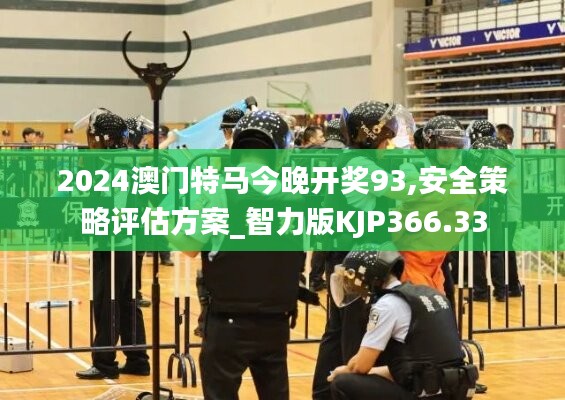 2024澳门特马今晚开奖93,安全策略评估方案_智力版KJP366.33