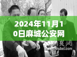 麻城公安网最新动态聚焦要点，共筑平安城市（2024年11月10日）