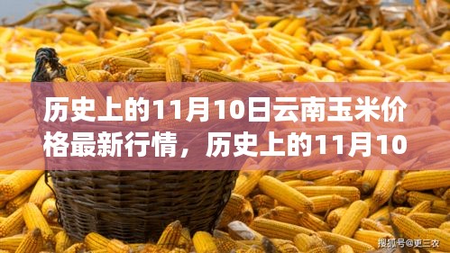 历史上的11月10日云南玉米价格行情深度解析与最新概览