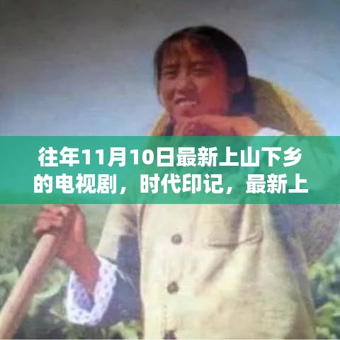 某年11月10日最新上山下乡电视剧，时代印记与深远影响分析