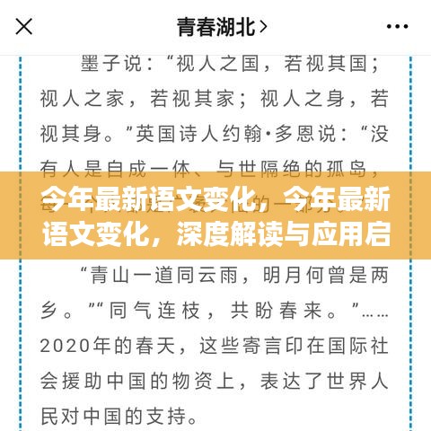 今年最新语文变化深度解读与应用启示，探索背后的趋势与启示