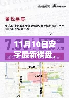 11月10日安宇最新楼盘购房全攻略，从初学者到进阶用户一步到位