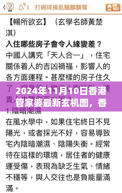 香港管家婆玄机图揭秘，暖心故事背后的神奇日常（2024年11月10日最新）