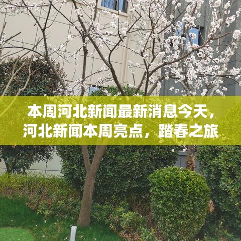 本周河北新闻亮点，踏春探寻心灵与自然共融的奇妙之旅