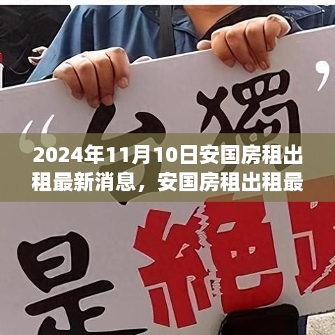 2024年11月安国房租出租最新动态与市场解读，深度剖析租赁市场要点