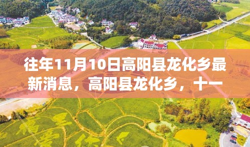 高阳县龙化乡十一月十日新篇章，时代变迁下的乡村发展最新消息