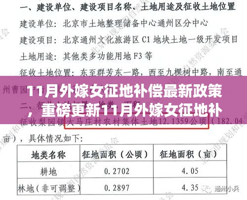 11月外嫁女征地补偿最新政策详解，保障每位外嫁女的权益与福利重磅更新