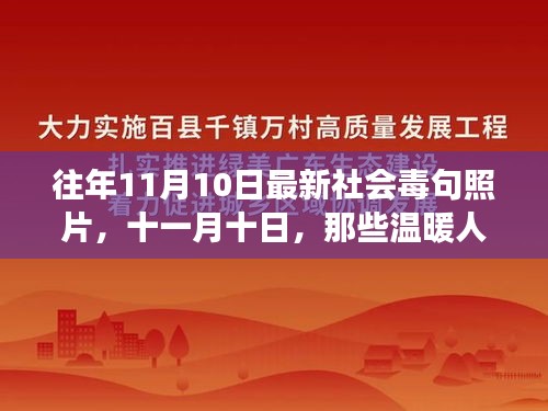 往年11月10日社会毒句照片中的温暖故事与心灵寄语