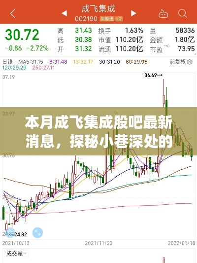 本月成飞集成股吧内幕揭秘，小巷深处的隐藏瑰宝与新奇遇探索