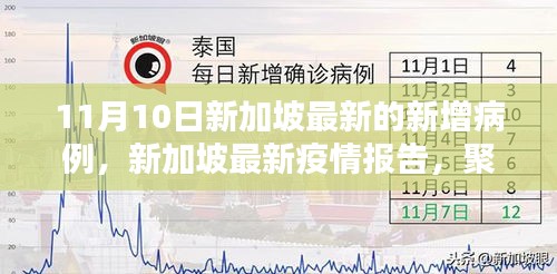 新加坡疫情报告更新，聚焦11月10日新增病例分析