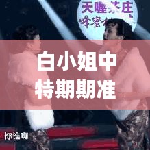 白小姐中特期期准选一,安全性策略解析_稀缺版295.52