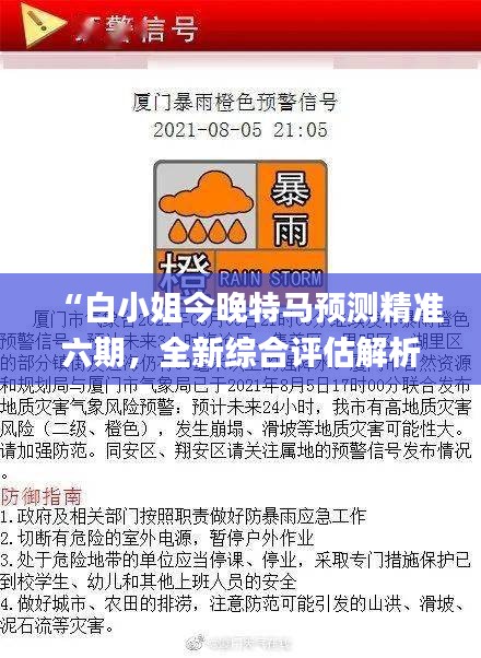 “白小姐今晚特马预测精准六期，全新综合评估解析_LXM789.46”