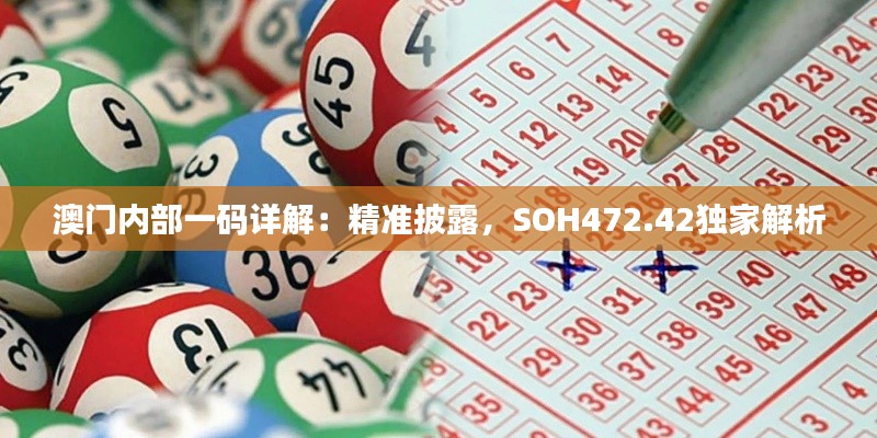 澳门内部一码详解：精准披露，SOH472.42独家解析