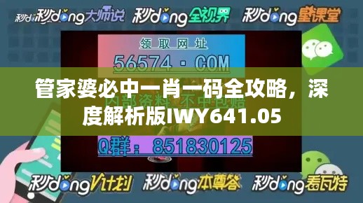 管家婆必中一肖一码全攻略，深度解析版IWY641.05