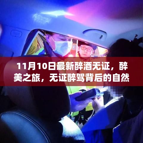 无证醉驾背后的自然美景探索之旅，醉美之旅揭秘醉酒无证新篇章（11月10日最新）