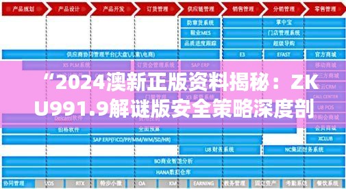 “2024澳新正版资料揭秘：ZKU991.9解谜版安全策略深度剖析”