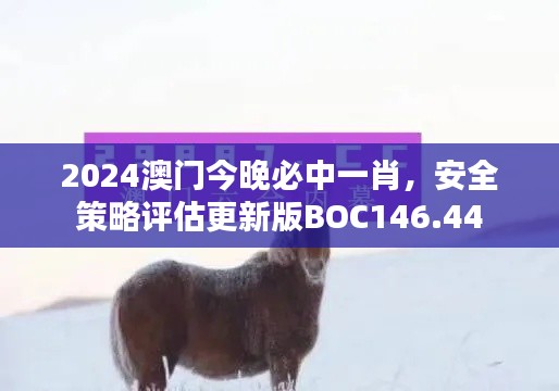 2024澳门今晚必中一肖，安全策略评估更新版BOC146.44