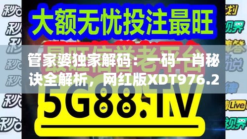 管家婆独家解码：一码一肖秘诀全解析，网红版XDT976.28安全攻略