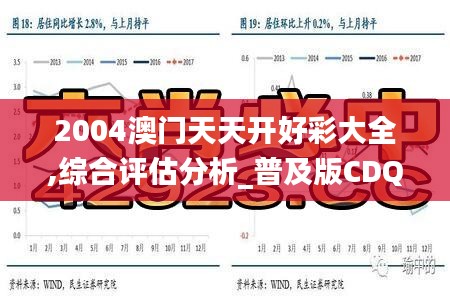 2004澳门天天开好彩大全,综合评估分析_普及版CDQ333.13