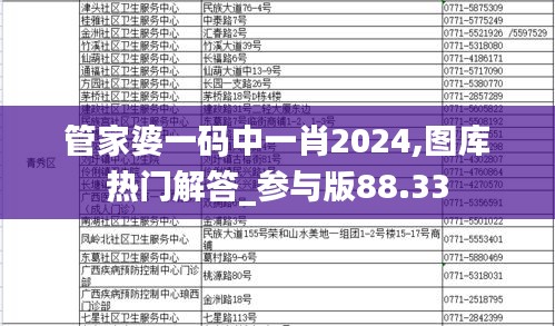 管家婆一码中一肖2024,图库热门解答_参与版88.33