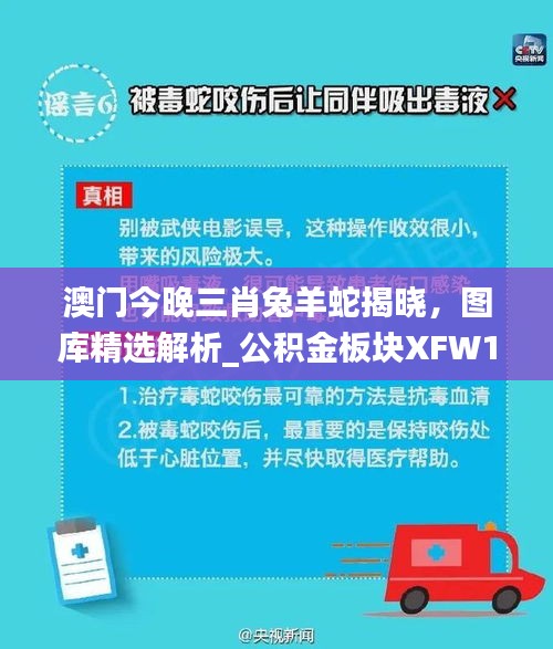 澳门今晚三肖兔羊蛇揭晓，图库精选解析_公积金板块XFW143.34