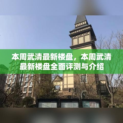 本周武清最新楼盘全面介绍与评测