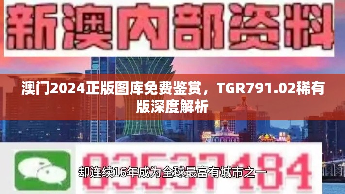 澳门2024正版图库免费鉴赏，TGR791.02稀有版深度解析