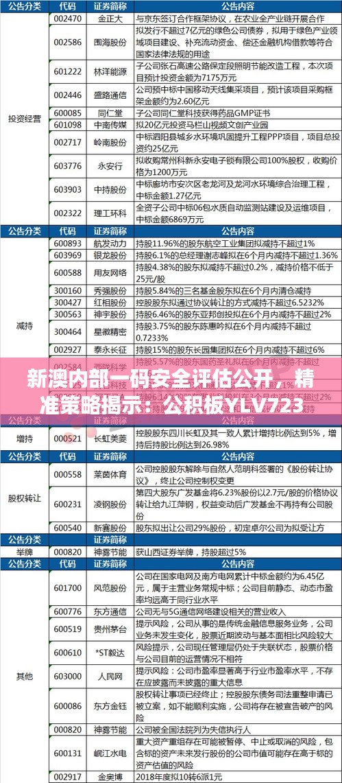 新澳内部一码安全评估公开，精准策略揭示：公积板YLV723.35