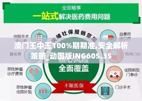 澳门王中王100%期期准,安全解析策略_动图版ING605.35