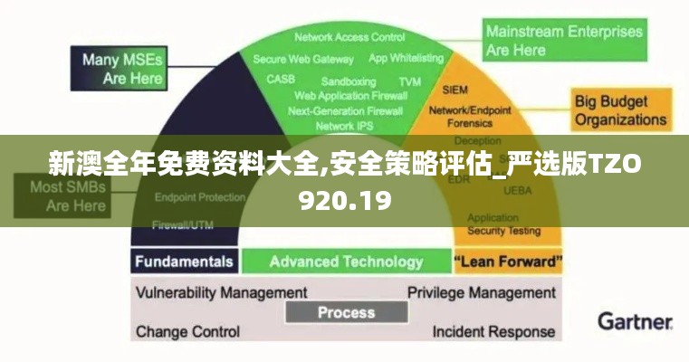 新澳全年免费资料大全,安全策略评估_严选版TZO920.19