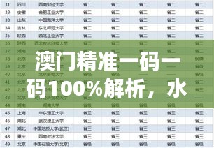 澳门精准一码一码100%解析，水晶版ERV947.65状况评估