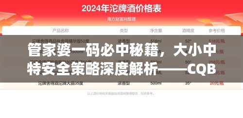 管家婆一码必中秘籍，大小中特安全策略深度解析——CQB817.84独版