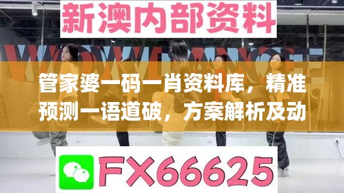 管家婆一码一肖资料库，精准预测一语道破，方案解析及动态素材攻略_神秘版OVY67.32