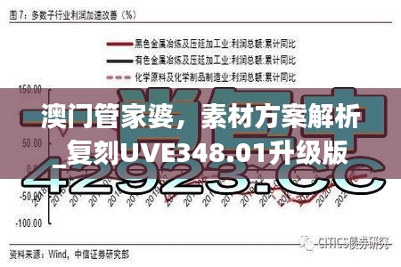 澳门管家婆，素材方案解析_复刻UVE348.01升级版