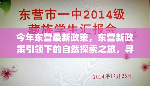 东营新政策引领下的自然探索之旅，追寻内心宁静与欢笑之旅