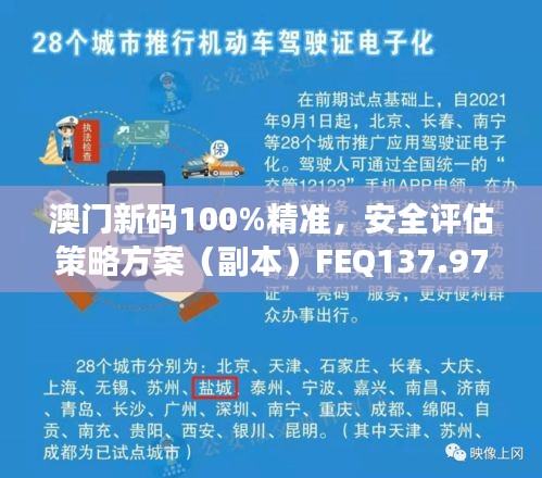 澳门新码100%精准，安全评估策略方案（副本）FEQ137.97