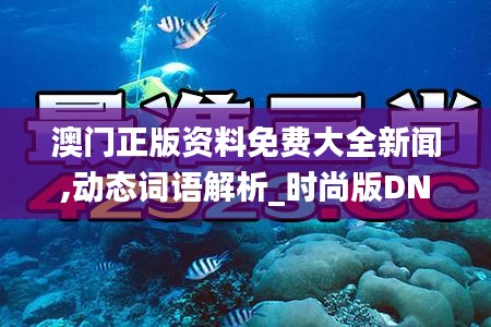 澳门正版资料免费大全新闻,动态词语解析_时尚版DNZ477.42