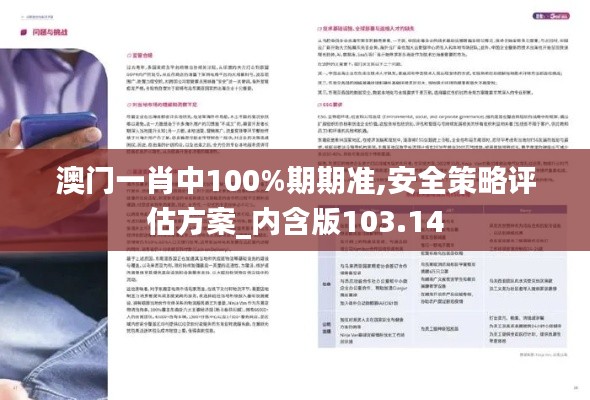 澳门一肖中100%期期准,安全策略评估方案_内含版103.14