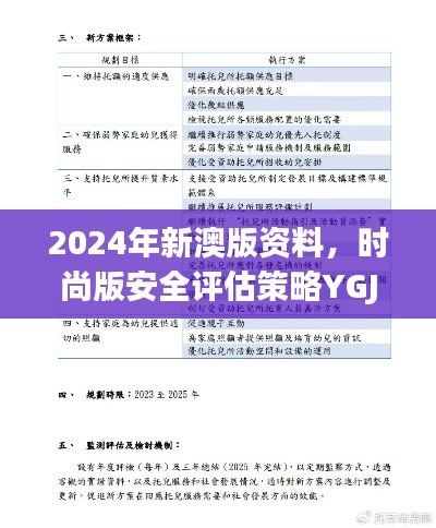 2024年新澳版资料，时尚版安全评估策略YGJ940.55