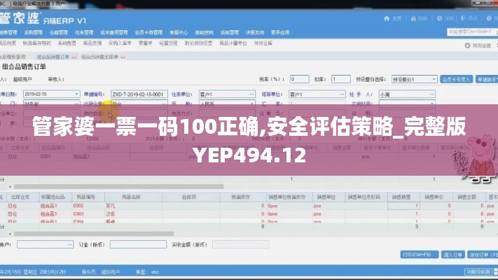 管家婆一票一码100正确,安全评估策略_完整版YEP494.12