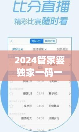 2024管家婆独家一码一肖资料，安全评估策略开放版JPC117.06