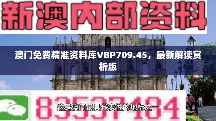 澳门免费精准资料库VBP709.45，最新解读赏析版