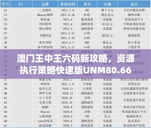 澳门王中王六码新攻略，资源执行策略快速版UNM80.66