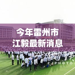 今年雷州市江毅的最新消息，多维度视角下的深度探讨与探讨