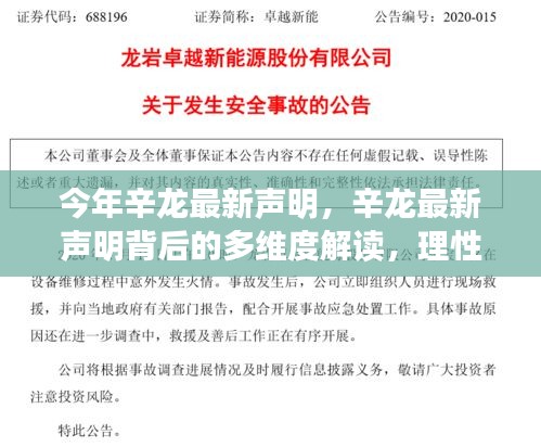 今年辛龙最新声明深度解读，多维度视角下的理性探讨与观点分析