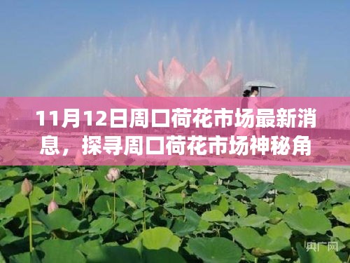 探寻周口荷花市场神秘角落，11月12日最新消息，小巷深处的特色小店揭秘