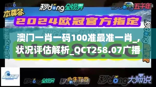 澳门一肖一码100准最准一肖_,状况评估解析_QCT258.07广播版